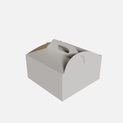 Karton-F201-300x300x150-225-E-Bialy-Zamkniety.png